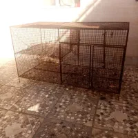 گنجه کفتر،|لوازم جانبی حیوانات|شیراز, زند|دیوار