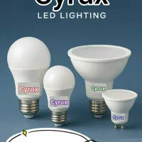 لامپ بانرخ دولتی و ضمانتی|لامپ و چراغ|قم, کوه سفید|دیوار