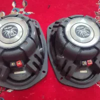 باند امریکایی