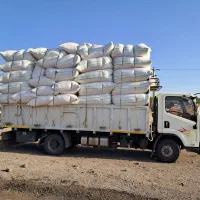 کاه گندم تحویل در محل شما|حراج|لنگرود, |دیوار