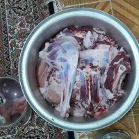 گوسفند قربانی درجه یک|حیوانات مزرعه|همدان, |دیوار