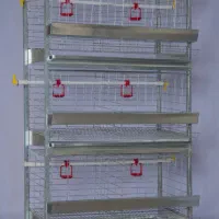 قفس مرغ تخمگذار و گوشتی