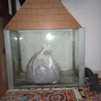 آکواریوم. ماهی