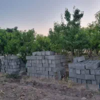 باغ باغچه