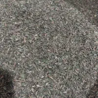 چوچاق خشک شده موجوده هر۱۰۰ گرم ۲۵۰تومان|حراج|عباسآباد, |دیوار