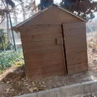 کلبه و لانه سگ