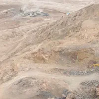 نیازمند آشپز خانم یا آقا فرق ندارد