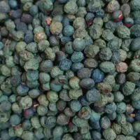 پسته کوهی|خوردنی و آشامیدنی|صفادشت, |دیوار