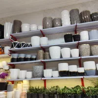 گلدان به قیمت عمده چون کارم پخشه قیمت خیلی پایینه|گل و گیاه طبیعی|تبریز, |دیوار