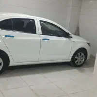 شاهین پلاس خشک