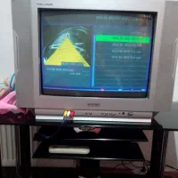 تلویزیون و میز|تلویزیون و پروژکتور|گلبهار, شهر جدید گلبهار|دیوار