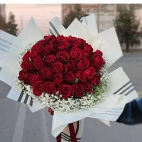 نیازبه سرمایه آزاد