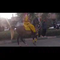 اسب نریون ابرش|اسب و تجهیزات اسب‌سواری|خمینی‌شهر, |دیوار