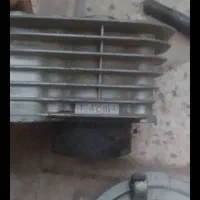 سیندر هندا پرنده عروس کفتر فنچ مرغ عشق فنچ|قطعات یدکی و لوازم جانبی|مشهد, پورسینا|دیوار