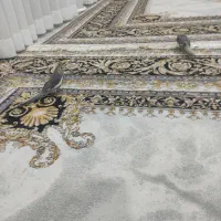 عروس هلندی