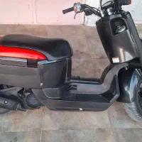 متور پاکشتی