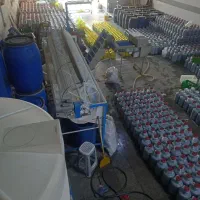 کار در کارخانه ترشی