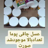 عسل چاقی پوما تضمینی حتی در دوران شیردهی