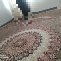 فرش دوازده متری...ویکی هم نصف دوازده متری