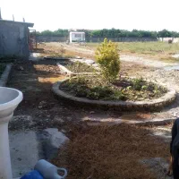 دامداری صنعتی باقابلیت تغییر کاربری