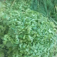 سبزی‌‌خرشت‌وماهی|عمده‌فروشی|برازجان, |دیوار