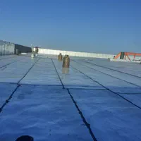 نمایندگی‌ایزوگام‌شرق‌دلیجان‌نضب‌حتی‌یک‌متژ‌مربع|خدمات پیشه و مهارت|تهران, پامنار|دیوار