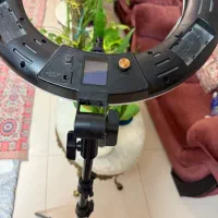 رینگ لایت Viltrox VL-600T|دوربین عکاسی و فیلم‌برداری|مشهد, اقبال|دیوار