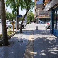جلوبندی وترمز وسیم کلاچ برق خودرو