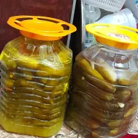 فروش خیارشور محلی با کیفیت خوب
