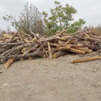 خرید و فروش چوب