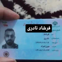 مدارک گم شده فرشاد نادری