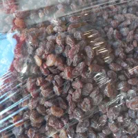 عسل گردو ملایر|خوردنی و آشامیدنی|رشت, نظری|دیوار