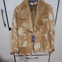 پالتو کتی نو