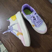 کفش|کیف، کفش، کمربند|گلبهار, شهر جدید گلبهار|دیوار