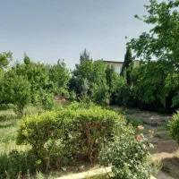 باغ ویلا ۱۲۰۰ متری سه خواب شهرک خانه تهران|فروش خانه و ویلا|رباطکریم, پرندک|دیوار