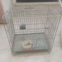 تعدای قفس غلامی و تله سهره و ..