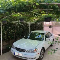 ماکسیما بسیار تمیز مدل ۸۲ رخ در حد مدل ۹۱|خودرو سواری و وانت|شاهین‌شهر, شهرک ردانی پور|دیوار