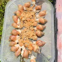 جوجه حلزون|خزنده|اصفهان, شهرک امام خمینی|دیوار