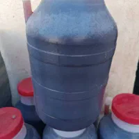 فروش گردو ، کشمش سبز قلمی و کشمش پلویی ، شیره|خوردنی و آشامیدنی|رومشکان, |دیوار