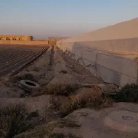 گلخانه فلزی ۴۰۰۰ هزار متر|فروش دفتر صنعتی، کشاورزی، تجاری|شریفآباد, |دیوار