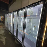 یخچال ایستاده ویترینی ۴در ۲.۵mایلیا موتور پایین