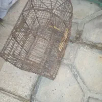 قفس پرنده|لوازم جانبی حیوانات|شیراز, کوشک میدان|دیوار