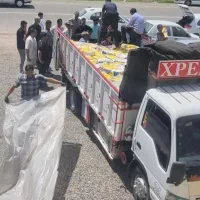 نمایندگی بذر پنبه بهترین رقم