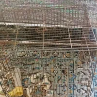 قفس قناری|لوازم جانبی حیوانات|سامن, |دیوار