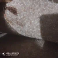 پالاز موکت