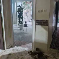 خانه اجاره مرکزی شهر خیابان مسجد سید|اجارهٔ خانه و ویلا|اصفهان, علی قلی آقا|دیوار