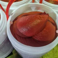 رب گوجه فرنگی درجه یک