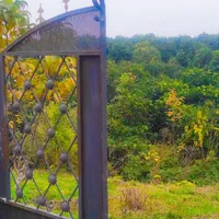 زمین،بافت باغات،نشتارود،کترا،طالش محله|فروش زمین و ملک کلنگی|نشتارود, |دیوار