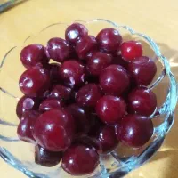 آلبالو منجمد تازه و رب آلو