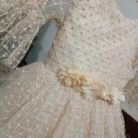پاچینمجلسی